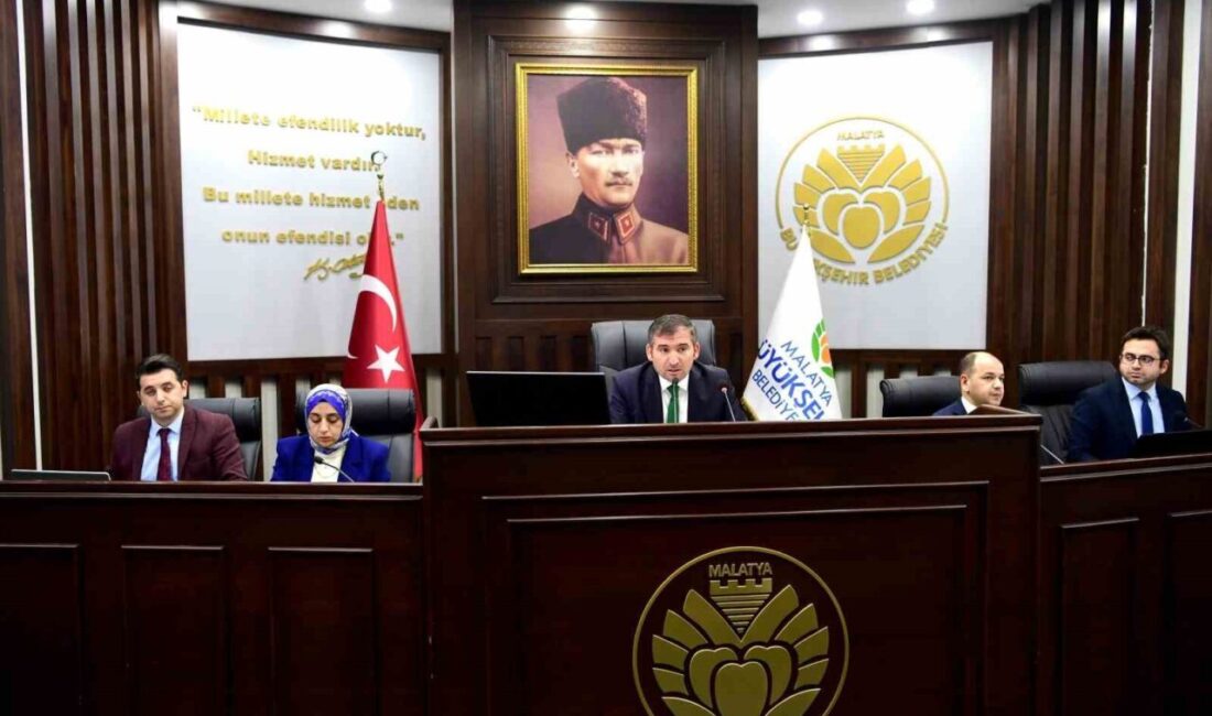 Malatya Büyükşehir Belediye Meclisi Şubat ayı toplantısı, Büyükşehir Belediyesi Meclis