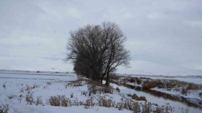 Meteoroloji 12. Bölge Müdürlüğü Bölge Tahmin ve Erken Uyarı Merkezi;