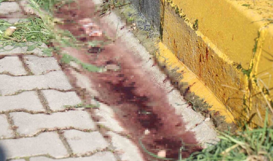 Sakarya’nın Arifiye ilçesinde eşinin tabancayla vurarak öldürdüğü kadının yarın Serdivan