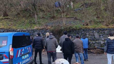 Ordu’nun Çaybaşı ilçesinde “patpat” olarak bilinen tarım aracının fındık bahçesine