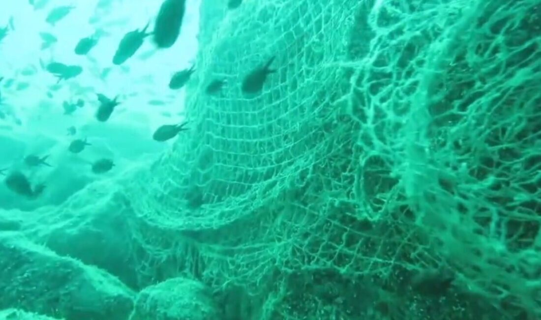 Karadeniz’in doğal ekosistemini ve biyoçeşitliliğini korumak için hayalet ağlardan temizlemek