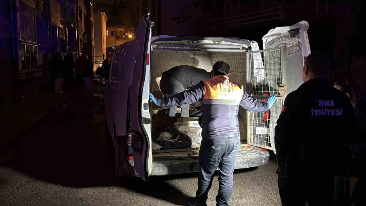 Sivas’ta 2 katlı evde çıkan yangında 26 kedi telef olurken,