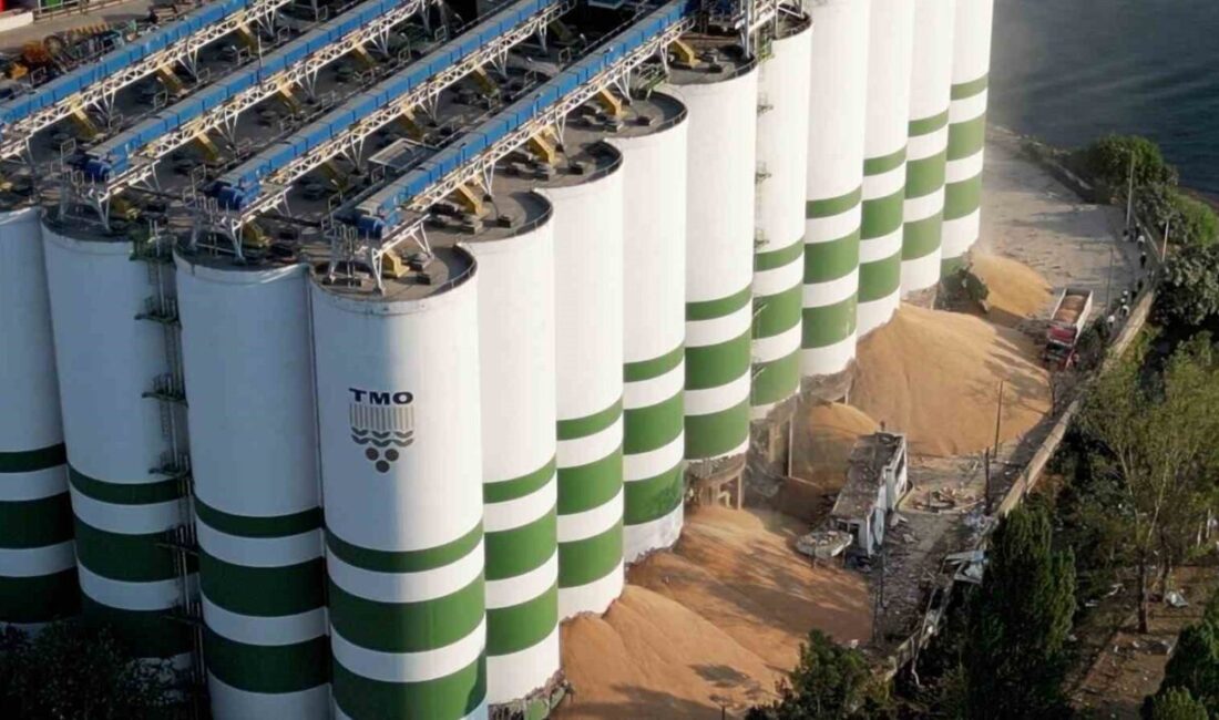 Kocaeli’de Toprak Mahsulleri Ofisi (TMO) silolarında meydana gelen, 2 kişinin