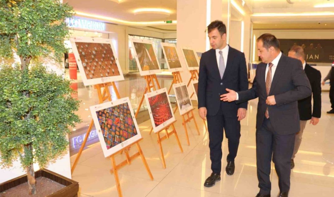 Toprak, emek ve insanı aynı karede buluşturan “Tarım, Orman ve