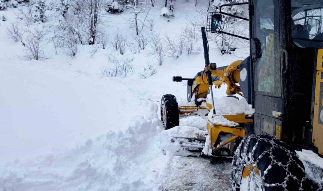 Trabzon’da il genelinde etkili olan kar yağışının ardından vatandaşların ulaşımda