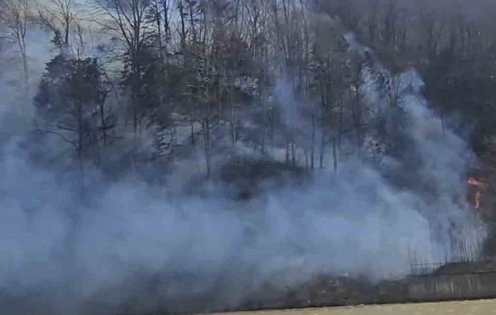 Trabzon’un Çaykara ve Köprübaşı ilçelerinde bugün öğle saatlerinde ormanlık alanda