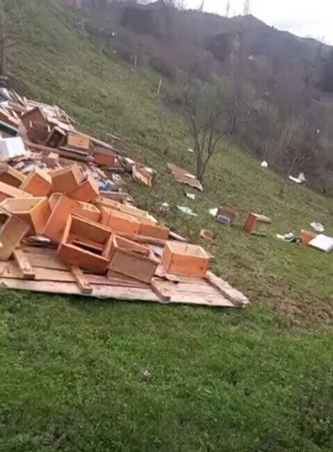 Sinop’un Türkeli ilçesine bağlı Çatakgeriş köyünde etkili olan fırtına, arı