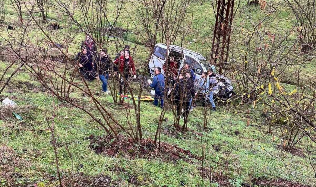 Zonguldak’ın Ereğli ilçesine bağlı Ormanlı beldesi girişinde üç aracın karıştığı