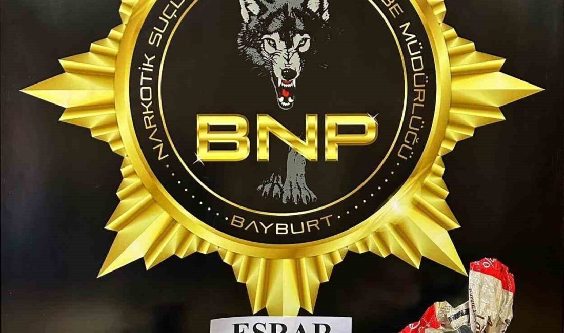 Bayburt’ta narkotik ekipleri tarafından bir şüphelinin ikametinde ve iş yerinde