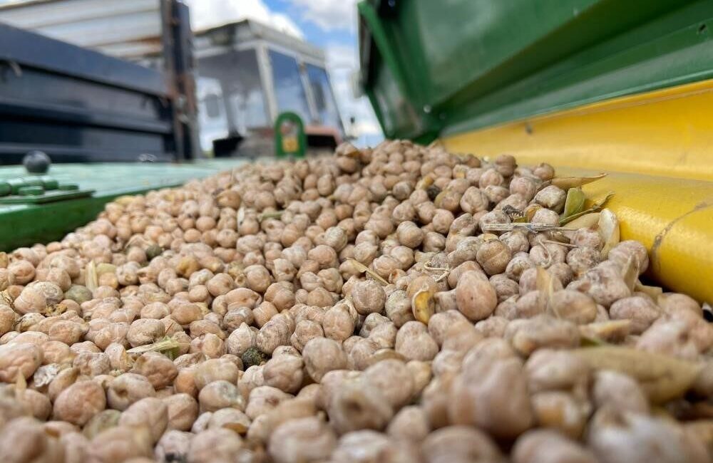 Bayburt’ta üreticilere, Tarım Arazilerinin Kullanımının Etkinleştirilmesi (TAKE) Projesi kapsamında yüzde