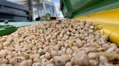 Bayburt’ta üreticilere, Tarım Arazilerinin Kullanımının Etkinleştirilmesi (TAKE) Projesi kapsamında yüzde