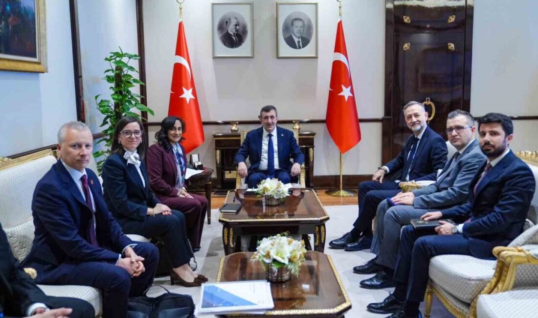 Cumhurbaşkanı Yardımcısı Cevdet Yılmaz, Kanada Dışişleri Bakanı Anita Anand ile