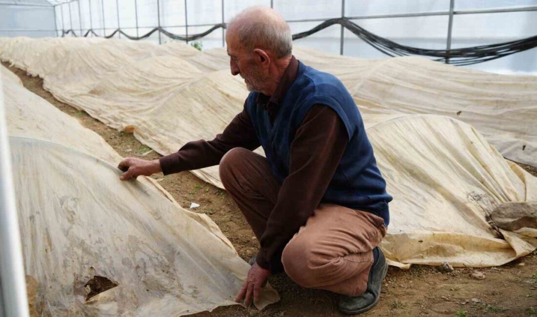 Bayburt’un Aslandede köyünde sebze ve meyve yetiştiriciliği yapan 76 yaşındaki