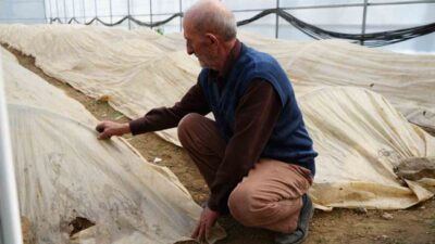 Bayburt’un Aslandede köyünde sebze ve meyve yetiştiriciliği yapan 76 yaşındaki