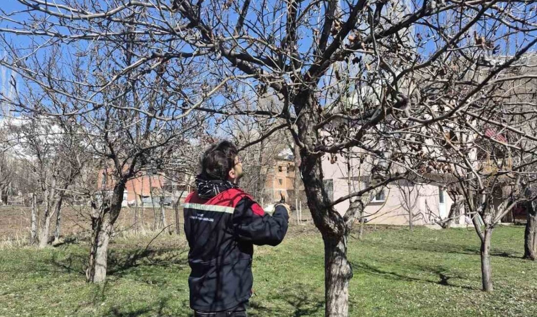 Bayburt’un Aydıntepe ilçesinde üreticilerden gelen talepler doğrultusunda meyve bahçelerinde budama
