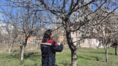Bayburt’un Aydıntepe ilçesinde üreticilerden gelen talepler doğrultusunda meyve bahçelerinde budama