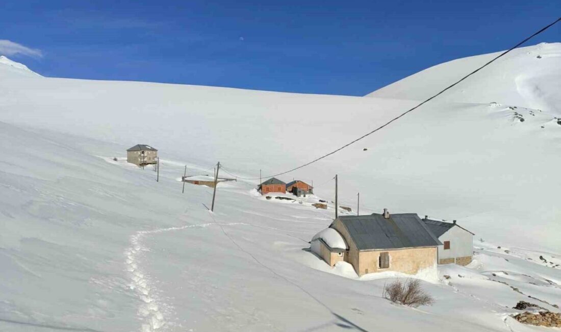 Bayburt’un Sarıçiçek Yaylası’nda ayıların yayla evlerine yönelik saldırıları sürerken, kar