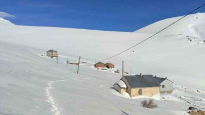 Bayburt’un Sarıçiçek Yaylası’nda ayıların yayla evlerine yönelik saldırıları sürerken, kar