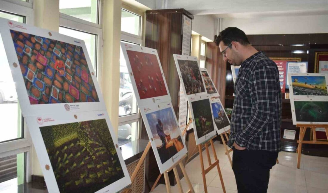 15. Uluslararası Tarım, Orman ve İnsan Fotoğraf Sergisi, Bayburt İl