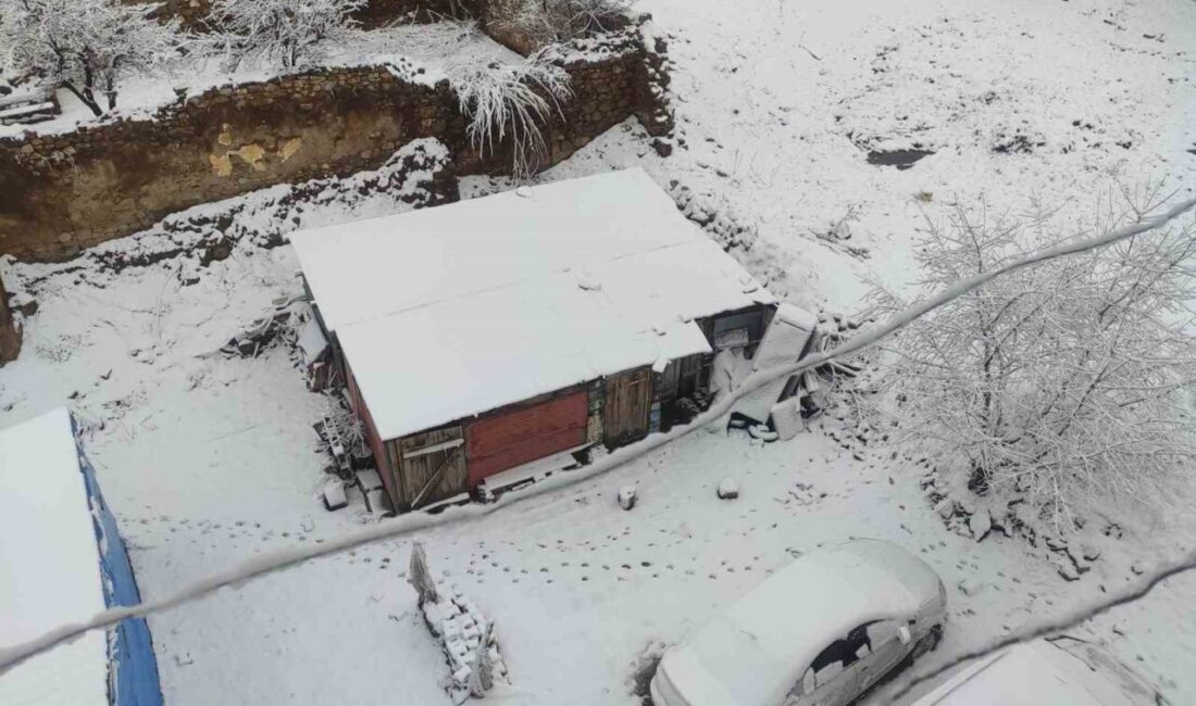 Bayburt’un Demirözü ilçesinde 20 Nisan’da etkili olan kar yağışı sonrası