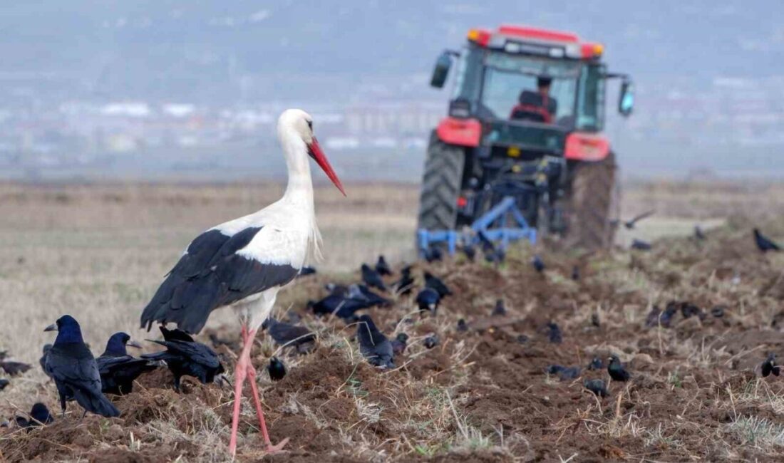 Meteoroloji 12. Bölge Müdürlüğü bölge tahmin ve erken uyarı merkezince