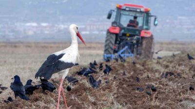 Meteoroloji 12. Bölge Müdürlüğü bölge tahmin ve erken uyarı merkezince
