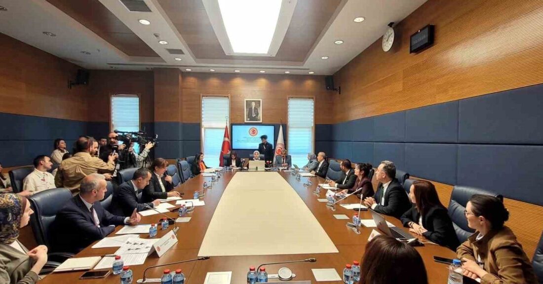 TBMM Dilekçe Komisyonu bünyesinde kurulan İlköğretim ile Ortaöğretim Kurumlarında Akran