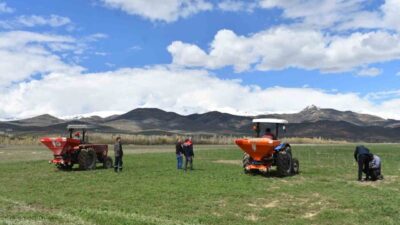 Bayburt’un Aşağı Dikmetaş köyünde 2025 yılında tesis edilen 200 dekar