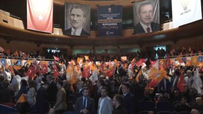 AK Parti Genel Başkan Yardımcısı, Teşkilat Başkanı ve Yalova Milletvekili