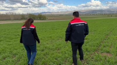 Bayburt’un Aydıntepe ilçesinde hububat ekili alanlarda hastalık ve zararlı organizmalara