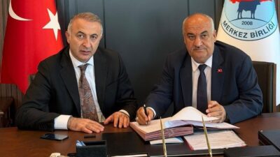 Aziziye Belediyesi, yöre hayvancılığına eski dinamizmini yeniden kazandırma amacıyla yürüttüğü
