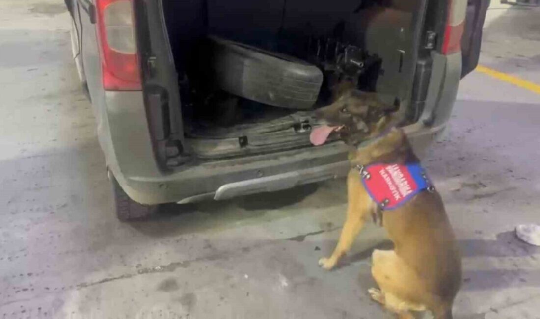 Tunceli’de aracın bagaj ve kaputuna zulalanan uyuşturucu narkotik köpeği ‘Ayar’