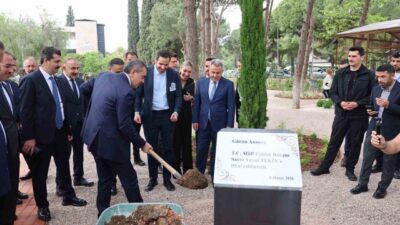 Milli Eğitim Bakanı Yusuf Tekin, Türkiye’de okul öncesi okullaşma oranının
