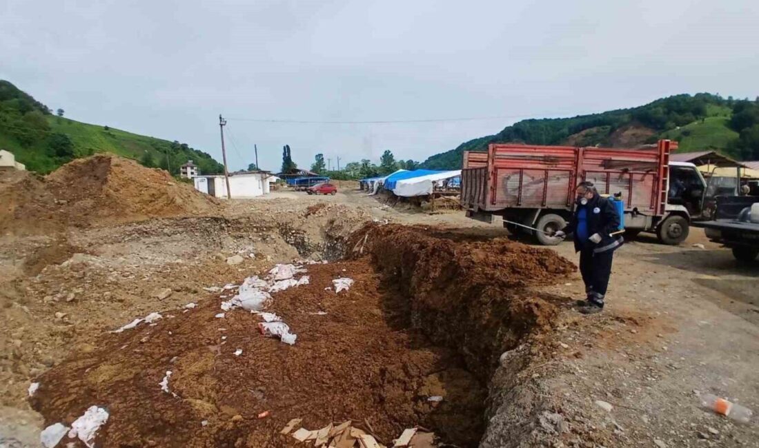 Trabzon Büyükşehir Belediyesi, Kurban Bayramı öncesi kurban satış ve kesim