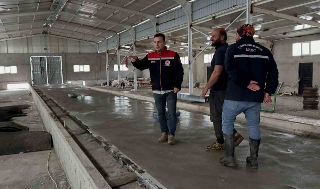 Bayburt’un Aydıntepe ilçesine bağlı Çatıksu köyünde yapımı süren büyükbaş hayvan