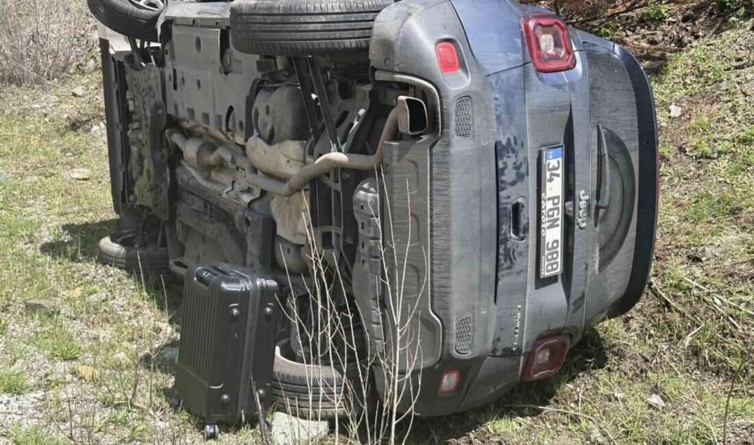 Kastamonu’nun Tosya ilçesinde cip ile hafif ticari araç kafa kafaya