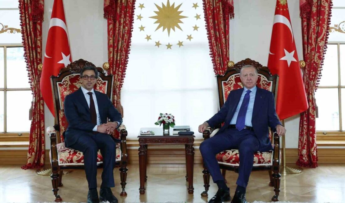 Cumhurbaşkanı Recep Tayyip Erdoğan, Birleşik Arap Emirlikleri (BAE) Devlet Başkan