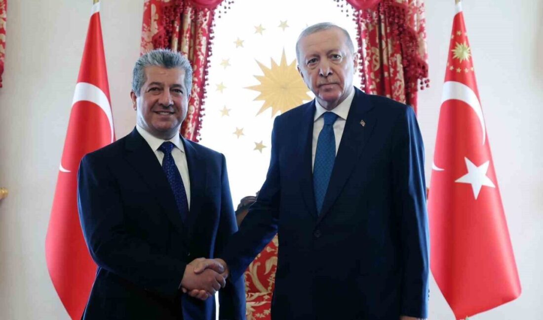 Cumhurbaşkanı Recep Tayyip Erdoğan, Irak Kürt Bölgesel Yönetimi (IKBY) Başbakanı