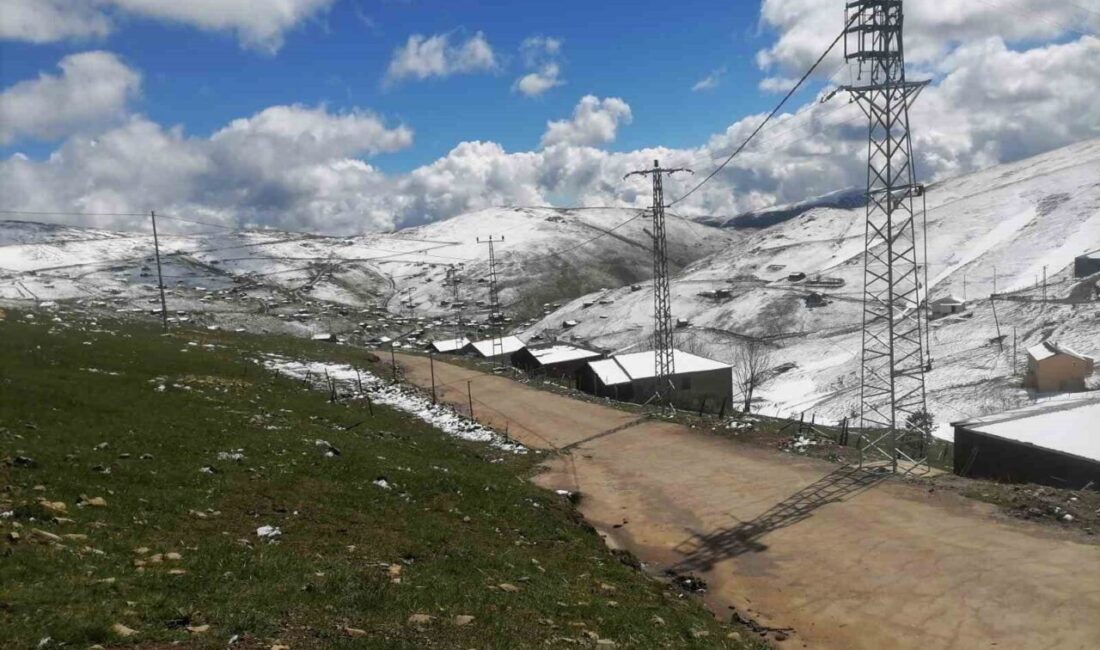 Doğu Karadeniz Bölgesi’nde son günlerde etkili olan soğuk hava dalgası,