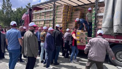 Erzincan’da 220 üreticiye toplam 779 bin 520 adet kapya biber