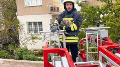 Erzincan’da bir binanın çatısında mahsur kalan kedi, itfaiye ekiplerinin çalışmasıyla