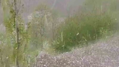 Erzurum’un Tortum ilçesinde ceviz büyüklüğünde yağan dolu hayatı olumsuz etkiledi.