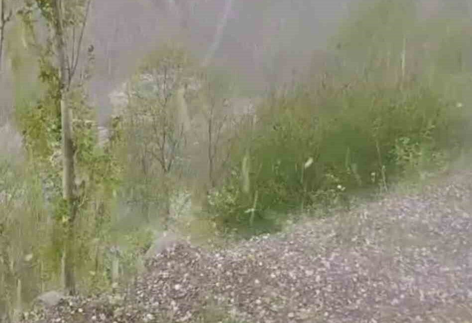 Erzurum’un Tortum ilçesinde ceviz büyüklüğünde yağan dolu hayatı olumsuz etkiledi.