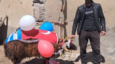 Erzurum’da Kurban Bayramı öncesi asırlardır sürdürülen “gelin koçu” geleneği bu