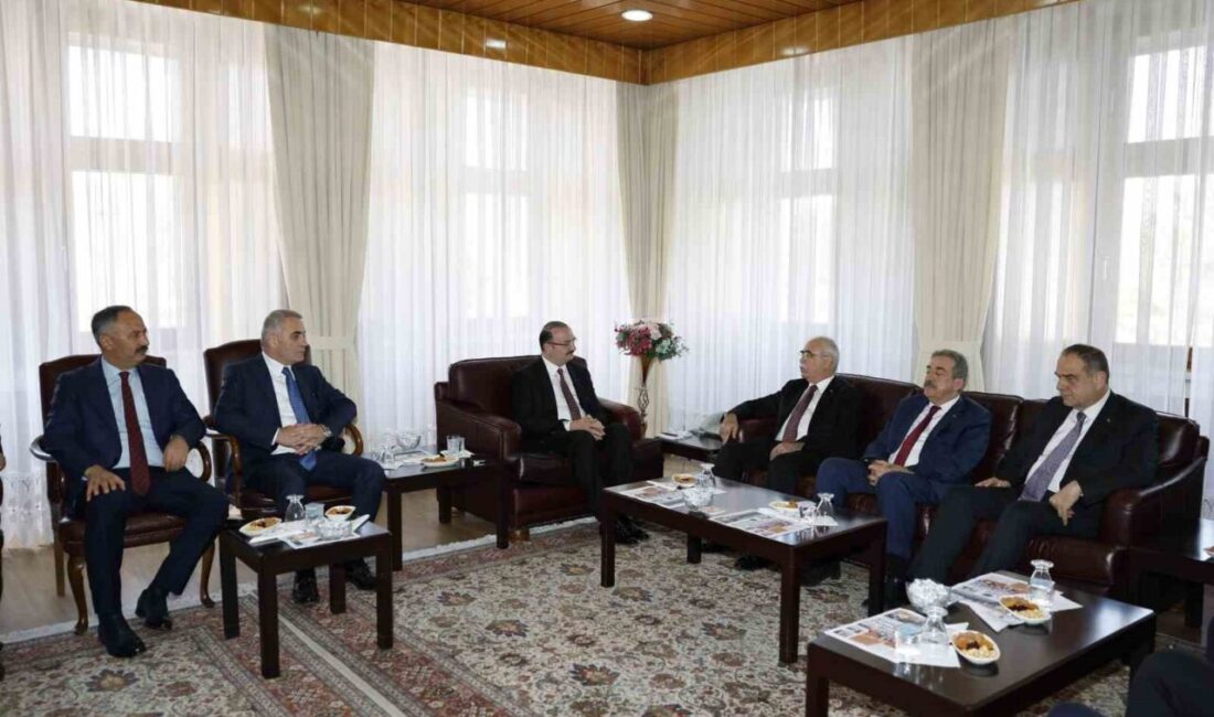 Anayasa Mahkemesi Başkanı Kadir Özkaya ile mahkeme üyeleri, bir dizi