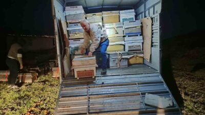 Karadeniz Bölgesi’nin gezgin arıcıları, yeni sezon çiçek balı üretimi için