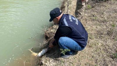 Erzincan’ın Kemaliye ilçesinde, Karasu Nehri’nde yasa dışı avcılığa yönelik denetim