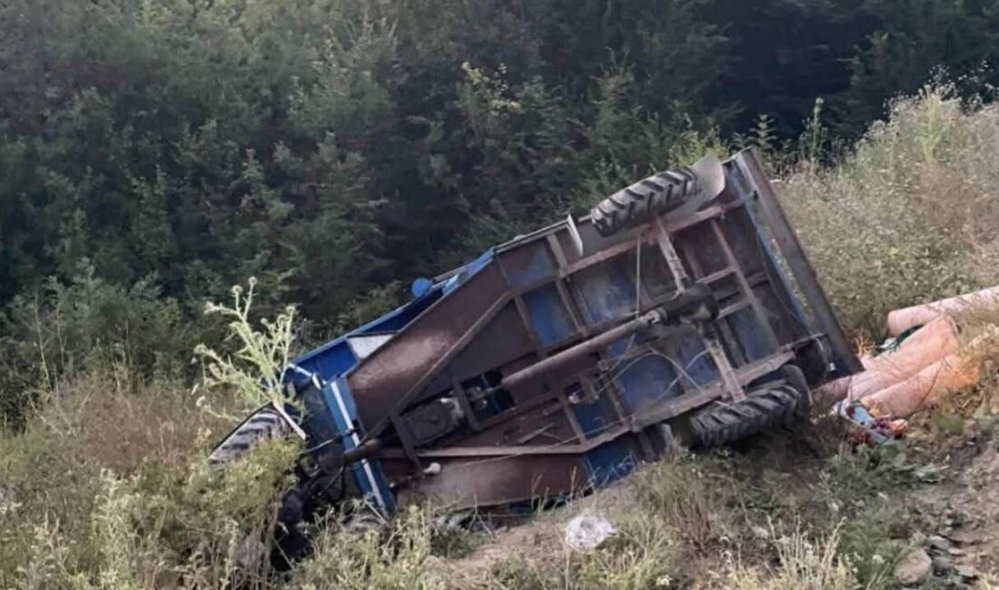 Kastamonu’nun Doğanyurt ilçesinde ’pat-pat’ olarak tabir edilen tarım aracının devrilmesi