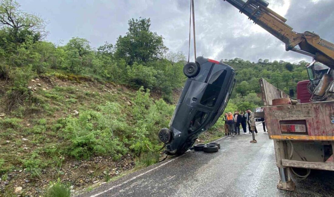 Erzincan’ın Kemaliye ilçesinde etkili olan sağanak yağış nedeniyle meydana gelen