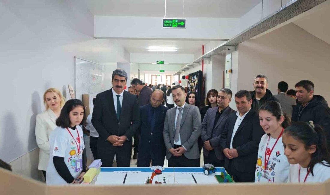 Erzurum’un Aşkale ilçesinde Koçak Ortaokulu öğrencileri tarafından hazırlanan projeler, TÜBİTAK